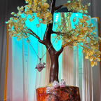 Crystal Heart Pendant Set – Necklace & Stud Earrings Combo